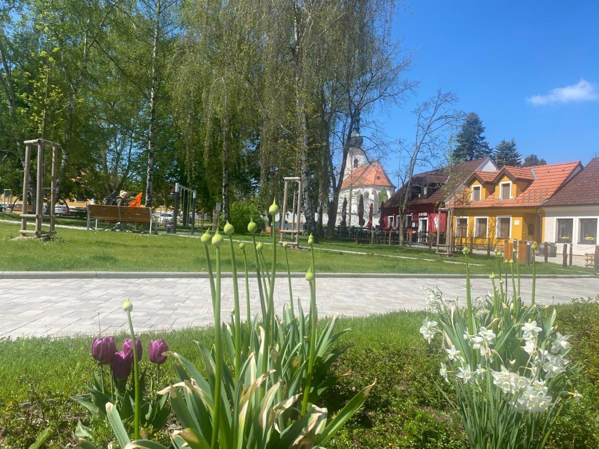 TřeboňDum U Lazni Federer公寓 外观 照片