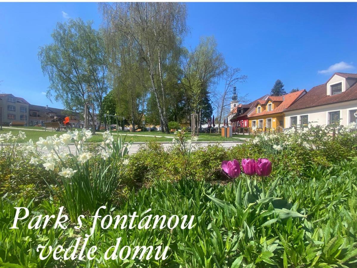 TřeboňDum U Lazni Federer公寓 外观 照片